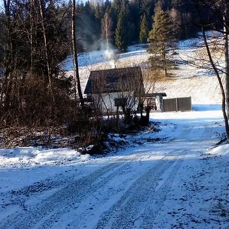 Lesny Zaulek *