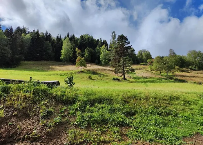 Leśny Zaułek Muszyna